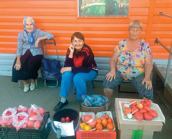 Пенсионерки жалуются на то, что на одну пенсию не прожить. Они торгуют продуктами со своих огородов и собираются 10 сентября голосовать за Федорченко 035_rusrep_16-2.jpg Марина Ахмедова 