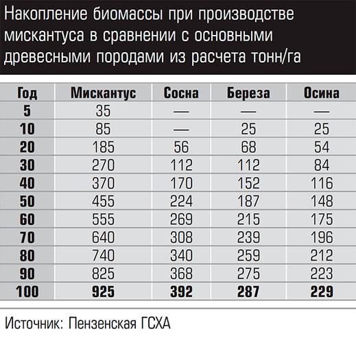 Накопление биомассы при производстве мискантуса в сравнении с основными древесными породами из расчета тонн/га 11-03.jpg 