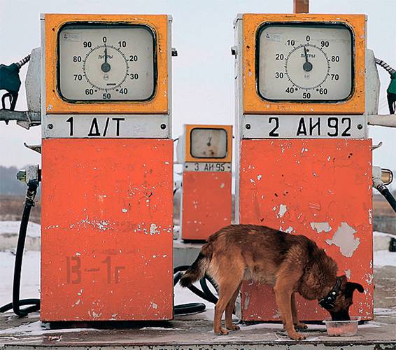 Результаты совещания у вице-премьера независимых не удовлетворили 04-02.jpg ТАСС