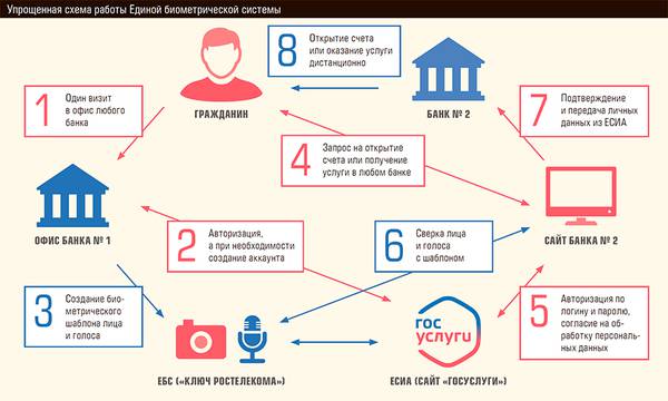 Упрощенная схема работы Единой биометрической системы 30-02.jpg 