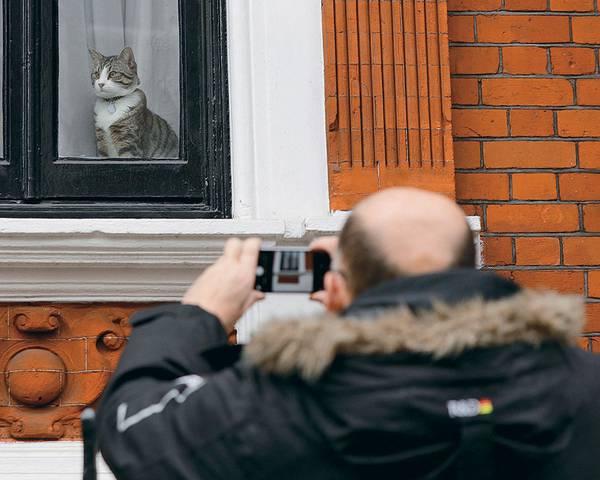  Многие были взволнованы судьбой кота Ассанжа. Wikileaks опубликовал видео, из которого следует, что котик спасен из посольства и в безопасности 053_rusrep_07-2.jpg Yui Mok/FA Bobo/ PIXSELL/PA Images/TASS