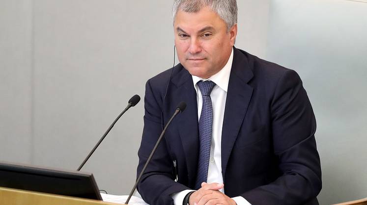 «Они неадекватны»: Володин осудил действия властей Грузии