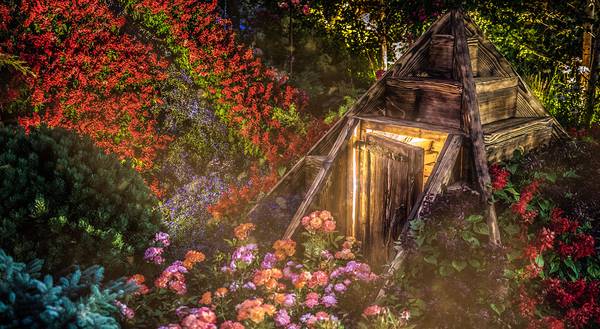  moscow-flower-show.jpg из архива пресс-службы 