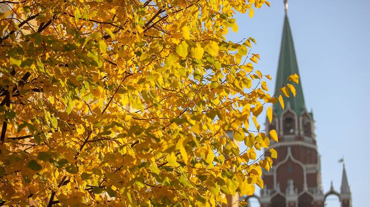 Гисметео, прогноз погоды на 7 дней: погода продолжит удивлять