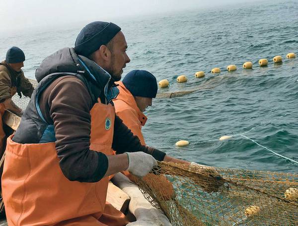 Рыбаки все чаще возвращаются из моря с пустыми руками. За два дня, что я провела на стане, рыбы поймали разве что «на еду» 040_rusrep_19-1.jpg Мария Лисицына