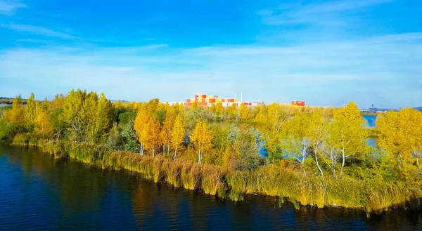  img-20191106-wa0000.jpg предоставлено пресс-службой