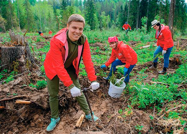 Волонтеры, привлеченные компанией Splat в рамках программы «СО2-нейтральное производство», посадили за десять лет более 140 тысяч деревьев по всей России 44-05.jpg SPLAT