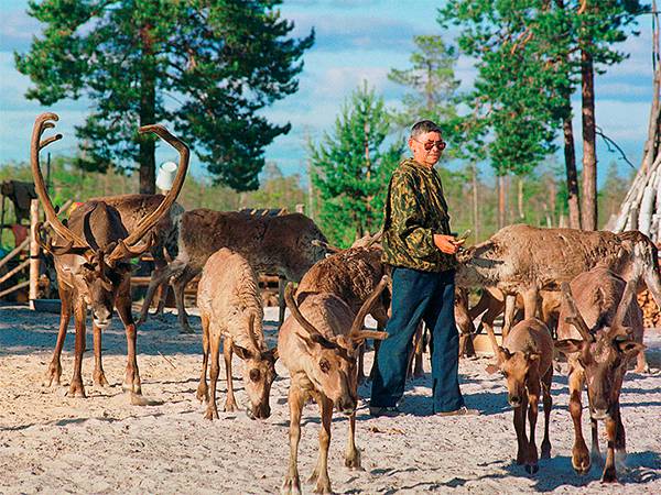 АЛЕКСЕЙ ЩУКИН (ИТАР-ТАСС) На Ямале малый бизнес получил послабление
