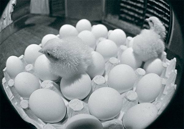 БЕРКЕТОВ НИКОЛАЙ /ФОТОХРОНИКА ТАСС Им не долететь до места назначения