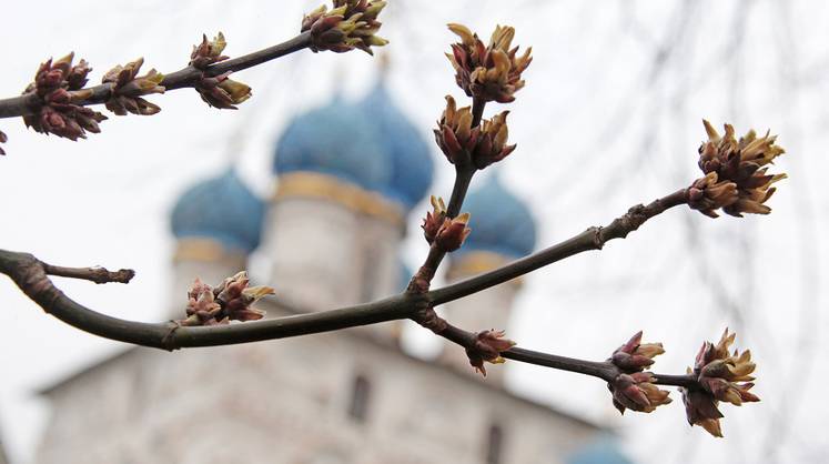 Прогноз погоды: в Гидрометцентре удивили неожиданным прогнозом на апрель