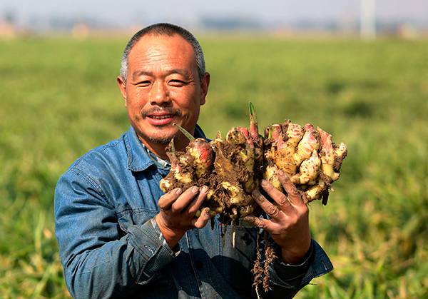 ТАСС Цена растет на слухах