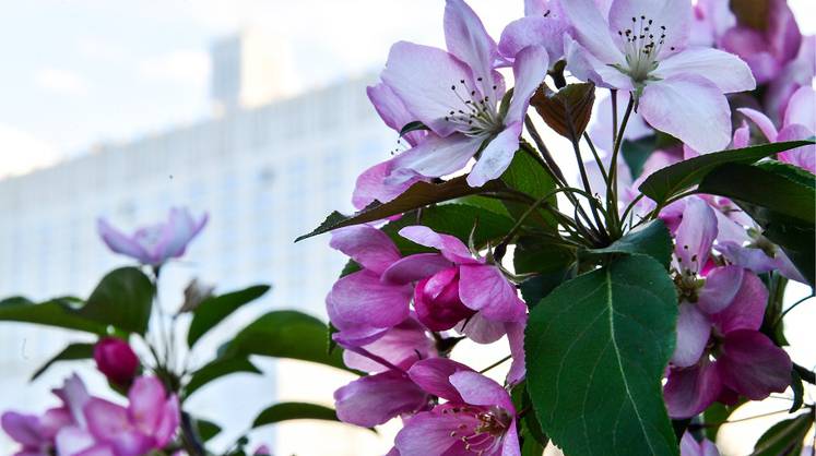 Прогноз погоды: синоптики пообещали неожиданную погоду на Первомай