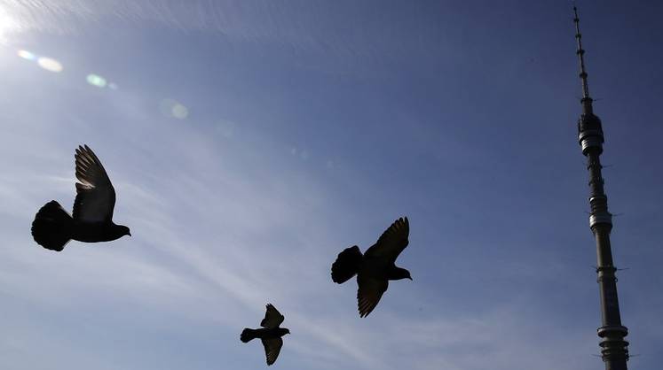 Прогноз погоды: всё снова поменяется – синоптики о погоде на следующей неделе