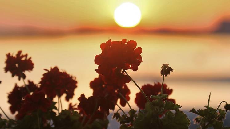 Прогноз погоды: синоптики огорошили прогнозом на июль-2020 