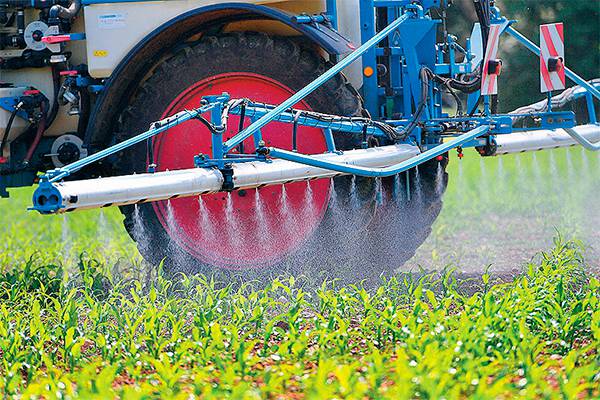 PICTURE ALLIANCE / SVENSIMON Гербицид, ставший основой для судебных исков против производителя