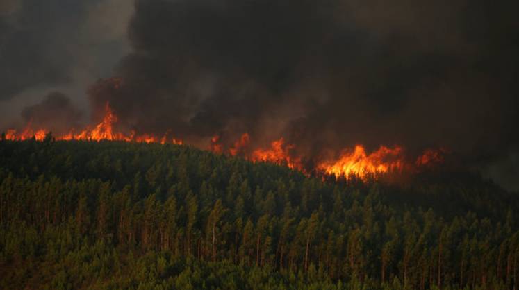 В Бурятии горят леса