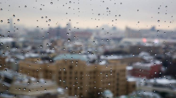 Повеет осенью: синоптики рассказали о погоде на неделю