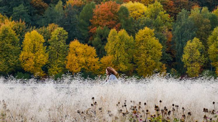 Прогноз погоды: россиян ждёт необычный сентябрь