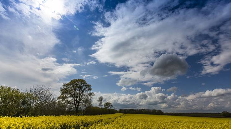Прогноз погоды на выходные: россиян ждёт климатическая неразбериха
