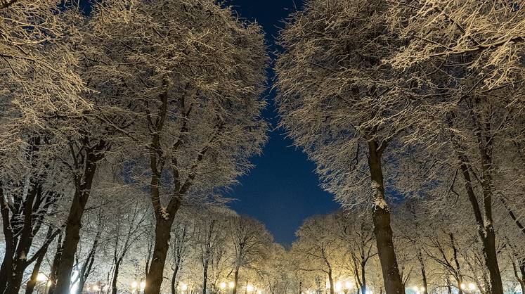 Прогноз погоды на зиму: синоптики озаботили россиян