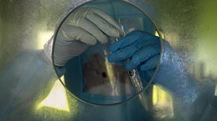 В России за сутки выявлено 5,5 тыс. новых заражений коронавирусом