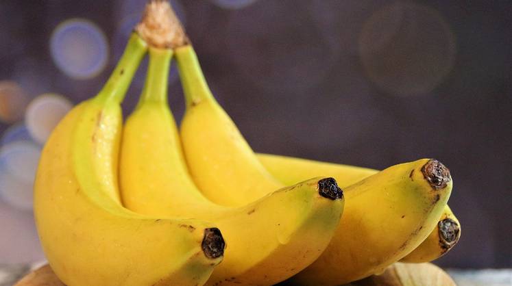 Врач-диетолог назвала продукт, укрепляющий нервную системы