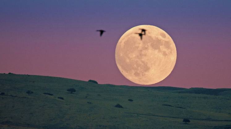 США планируют высадиться на Луну в 2024 году