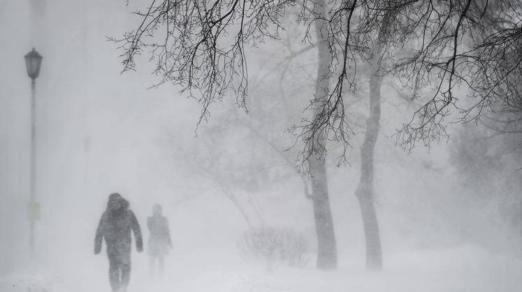 Прогноз погоды: синоптики рассказали, когда в России наступит настоящая зима