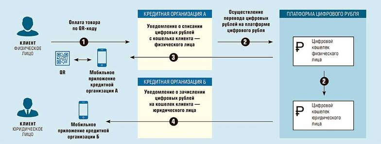  Схема покупки товаров за цифровые рубли