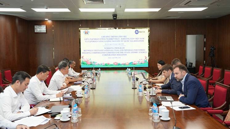 Российские технологии для вьетнамских руд: «Гиредмет» и Vinacomin обсудили сотрудничество по редкоземельным металлам и титану