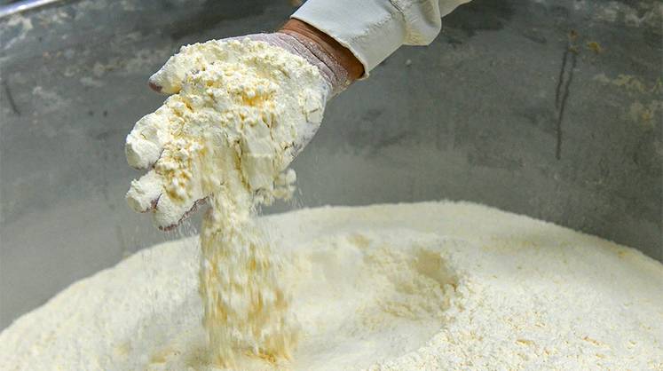 Агропром: мукомольные мощности с прицелом на экспорт