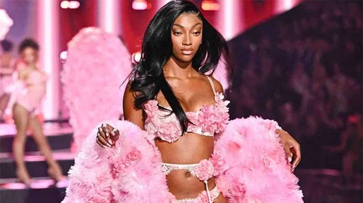 Ретейл: Victoria’s Secret в розовом