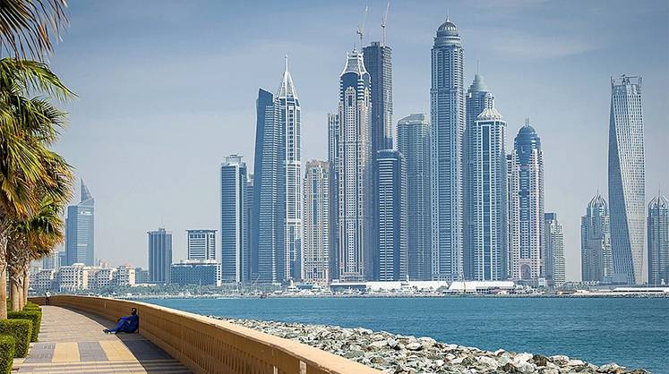 Дубай: крупный оператор портов создает продовольственный хаб