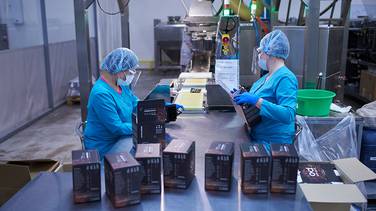 предоставлено пресс-службой 