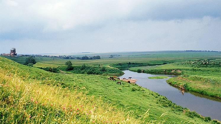 Куликово поле засеют древними зерновыми