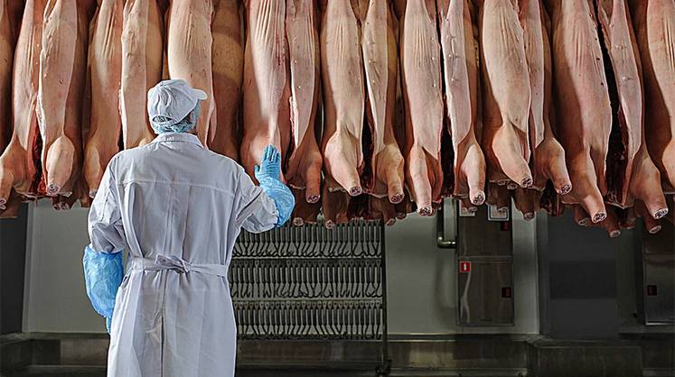 Накормить солдат мясом