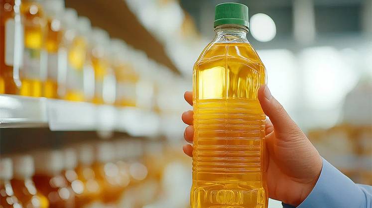 Масличные рекорды не приносят прибыли