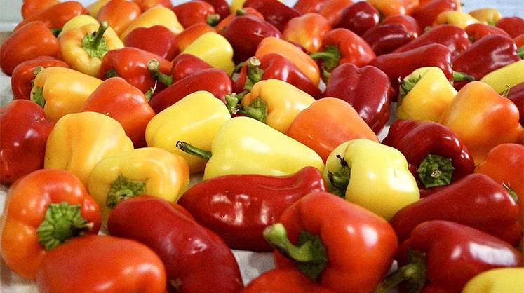 Война меняет овощную логистику