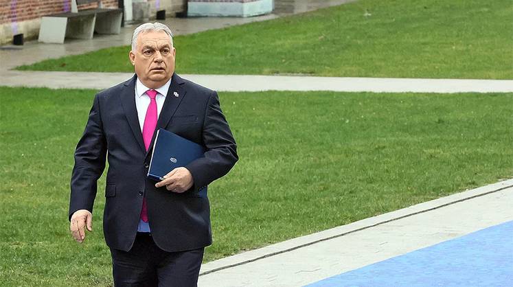 Зеленский угрожал Орбану украинской армией из-за «Дружбы»