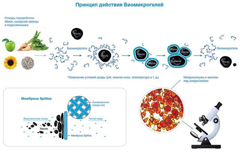  «В любой технологической  компании на ранних этапах  есть периоды, когда внешнее  окружение считает вас  сумасшедшими и смотрит с  жалостью. Поэтому важно,  чтобы внутри команды была  вера в себя, позитивный  взгляд, готовность к  экспериментам и терпимость  к ошибкам»