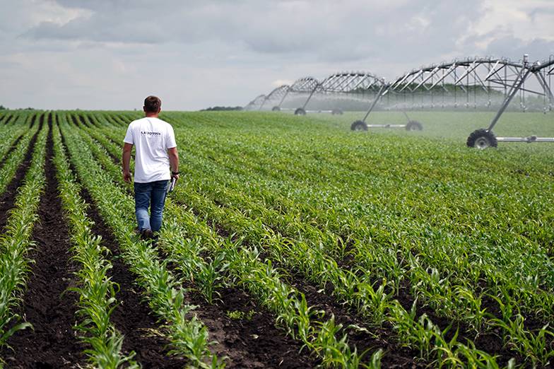  Семеноводство — самое технологичное и перспективное направление в компании «АгроТерра». В прошлом году компания начала проектировать строительство семенного завода в Курской области, который может занять до 12% российского рынка семян кукурузы