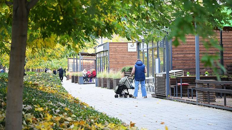 ВЯЧЕСЛАВ СОБОЛЕВ Три главные темы парка «Дельфин» — еда, дети, спорт