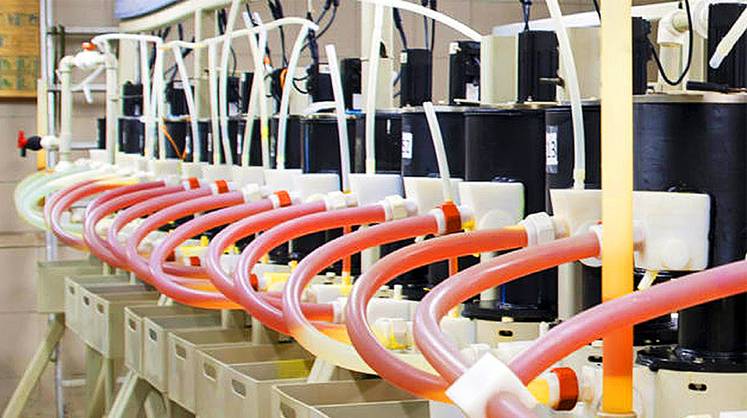 Субсидии не удержали РЗМ