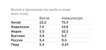 FAO ООН Лидер мирового рынка Китай выращивает  рыбы кратно больше, чем вылавливает