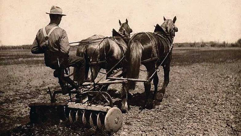  Первая госмонополия на экспорт зерна была создана в Канаде более 100 лет назад. Но в ее задачи входила  поддержка местных фермеров