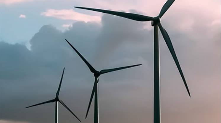 Ветер после затишья: Ростовская область заполучила новый проект в сфере ветроэнергетики
