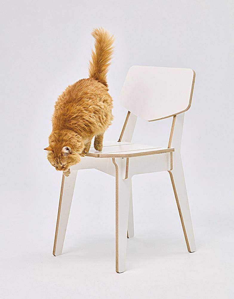 предоставлено компанией «Квик Клик» 