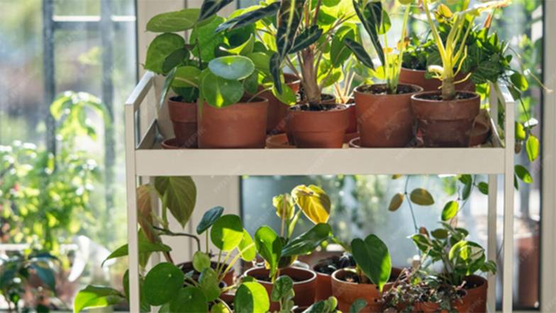 Предоставлено внешней пресс-службой Fix Price 