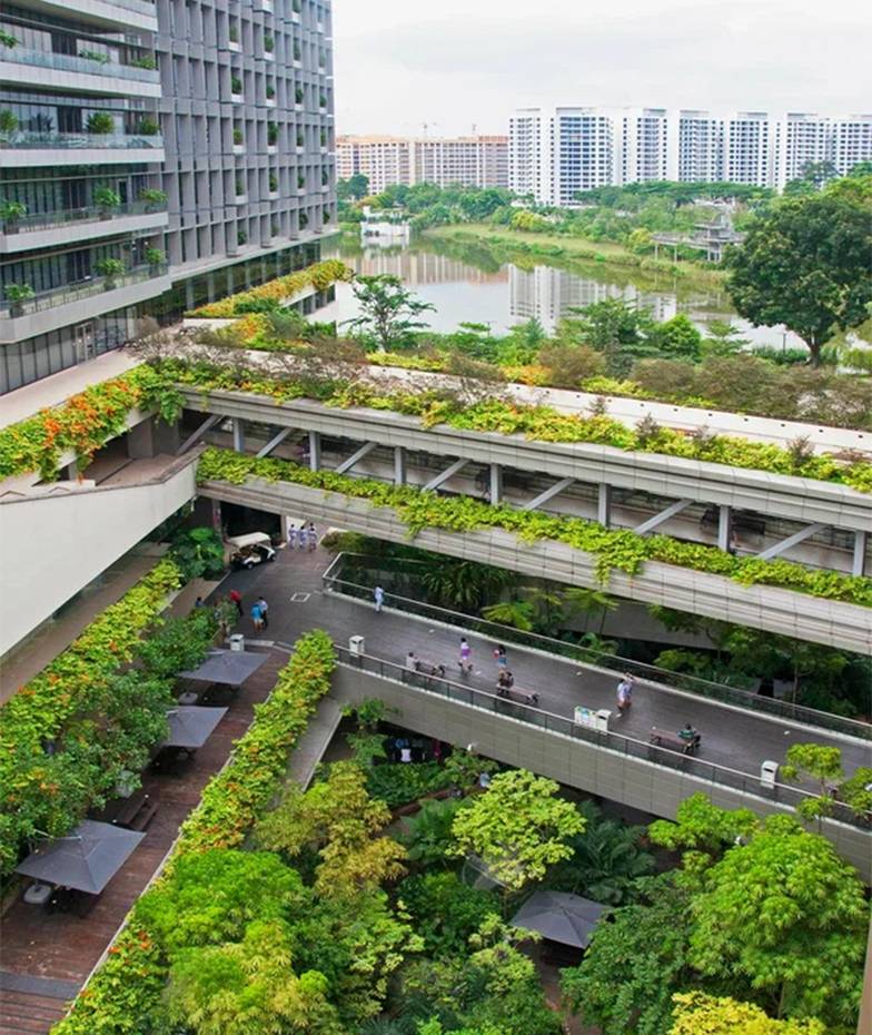  Чтобы уменьшить количество стресса в городе, в застройку необходимо  интегрировать как можно больше зелени