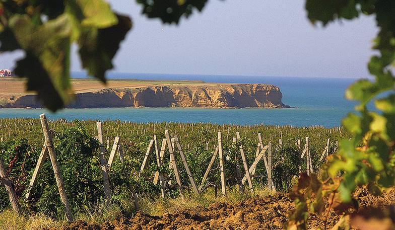 ПРЕСС-СЛУЖБА ООО «ИНКЕРМАНСКИЙ ЗАВОД МАРОЧНЫХ ВИН»/ТАСС В Крыму заработали десятки новых частных винодельческих компаний полного цикла — от выращивания винограда до разлива, выдержки и маркетинга готовой продукции,  продвижения авторских брендов
